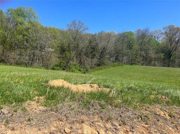 6 County Road 528, Fredericktown, MO 63645