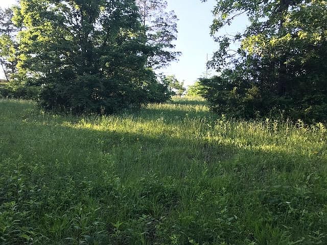 2nd image of 33 Tall Cedar Ln