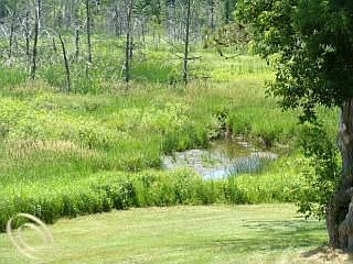 2nd image of 400 S Ortonville Rd