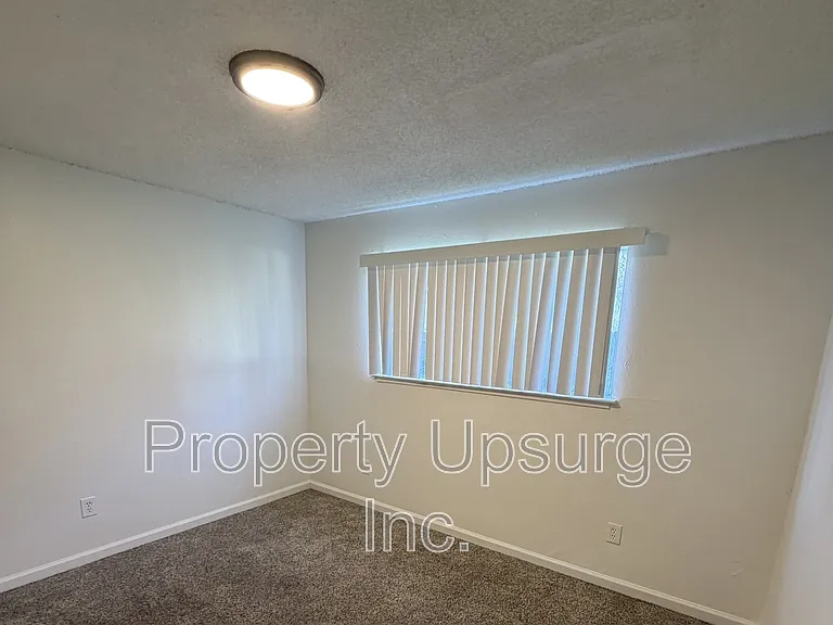The Estate — Photo 15