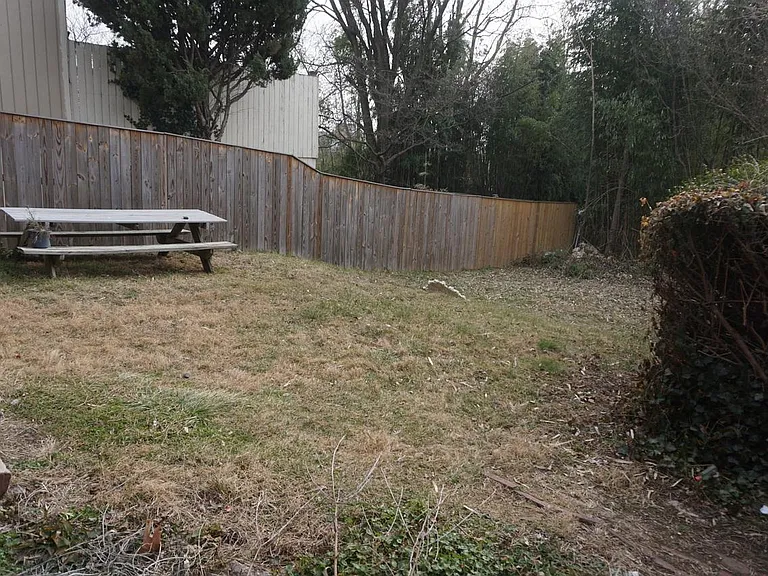 Back yard