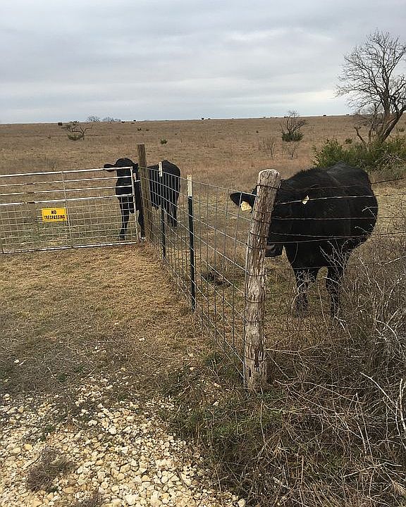 Gate off CR 2001.