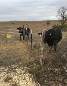 CR 2001, Lometa, TX, 76853