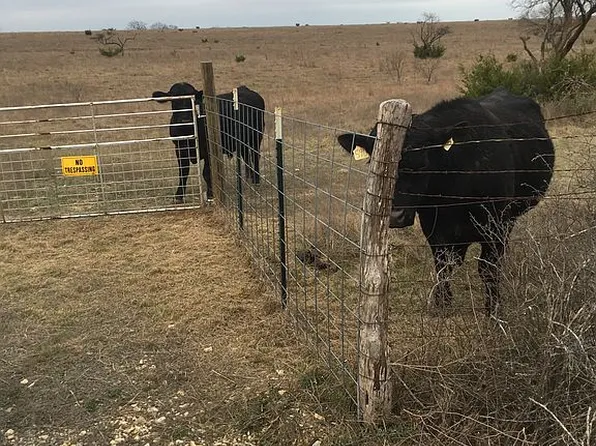 CR 2001, Lometa, TX 76853