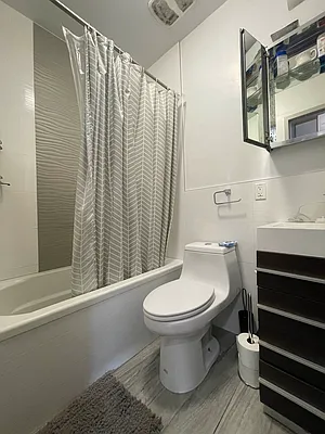 Rented by Brooklyn Rentals NYC | media 12