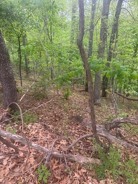 2nd image of 8 Deddington Dr