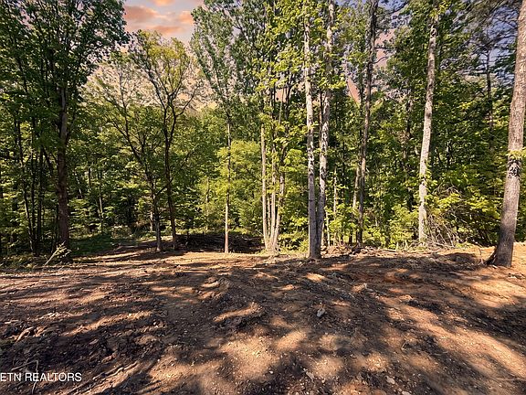 5th image of 839 Josana Ln
