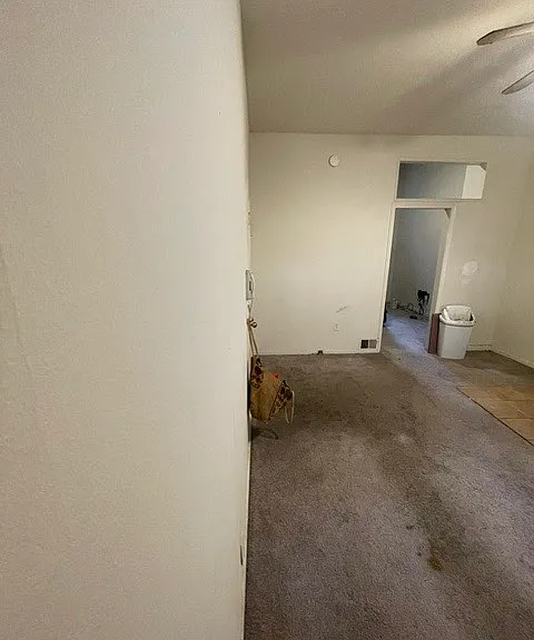 2039 Green St #1F — Photo 3