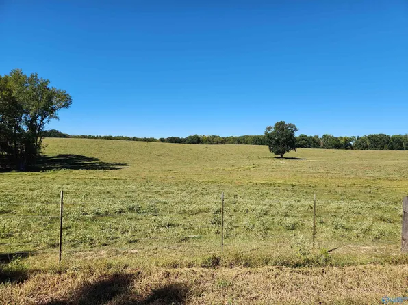 198 Tucker Rd, Athens, AL 35614