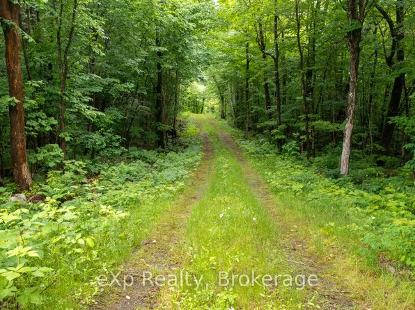 3 Kingfisher Rd, McDougall, ON P2A 0B3