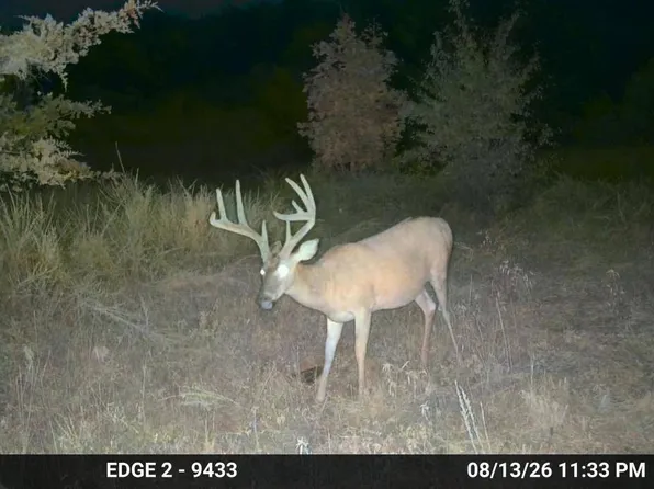 0 County Road 8390 #Wp001, West Plains, MO 65775
