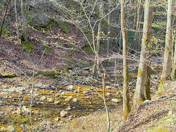 4th image of Jones Valley Rd