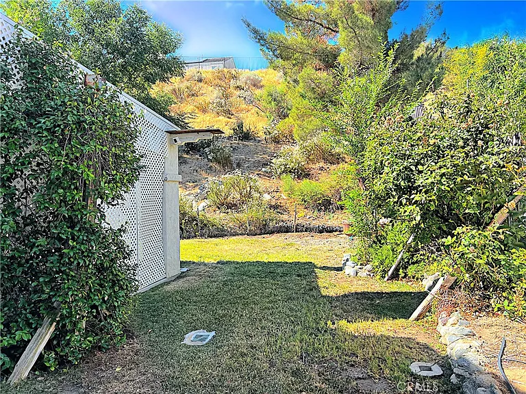 1308 Cheetah Way — Photo 46