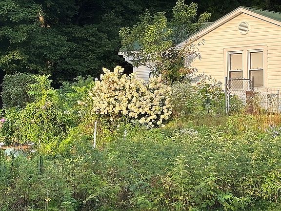 4th image of 821 S Beaver Dam Ave