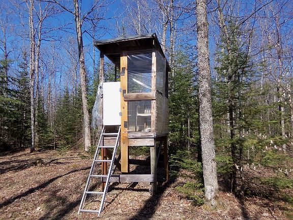 Elevated Deer Stand
