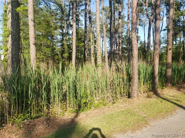 Lots 140 & 141 Bavon Beach Dr, Pt Haywood, VA 23138