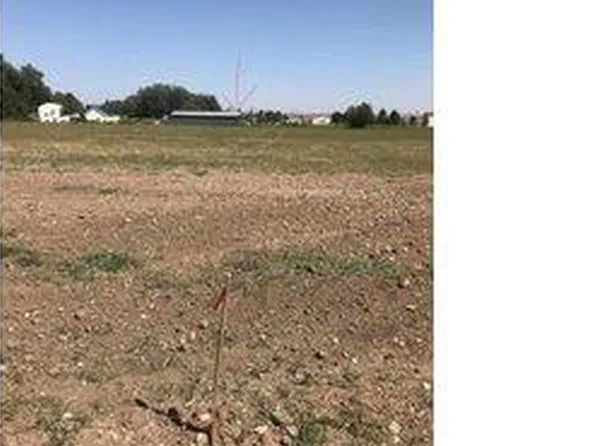 9698 Hat Trick Ln, Wellington, CO 80549