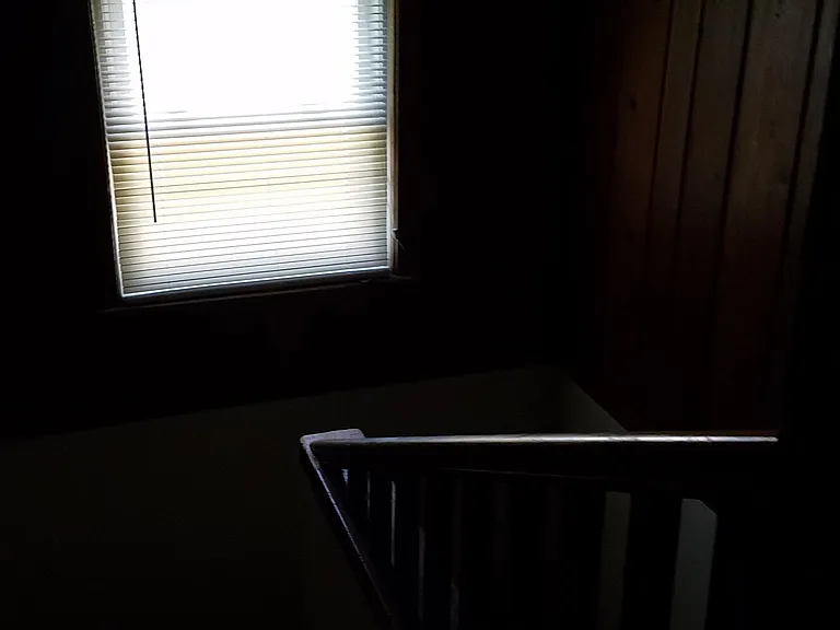 509 N Hagadorn Rd — Photo 18