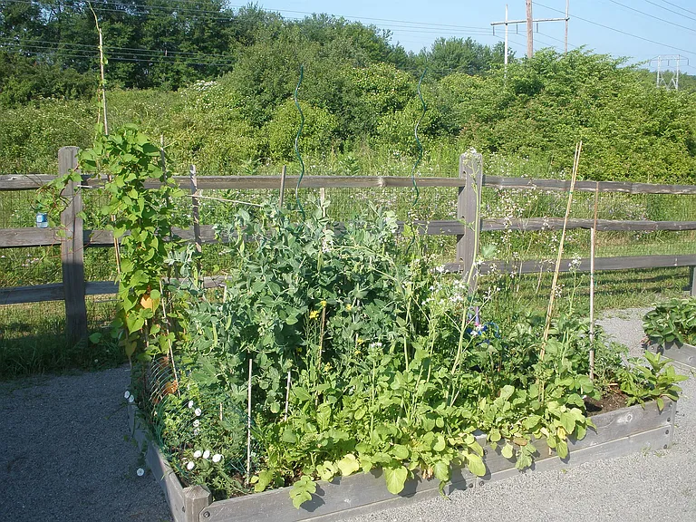 P6230029