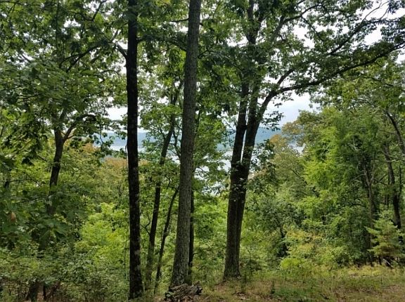5th image of 813 Wilderness Dr