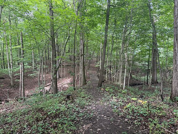 3rd image of Ankrapp Rd