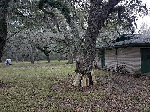 5th image of 542 Bluebonnet Dr