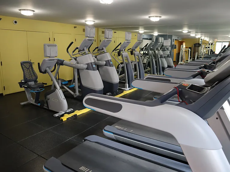 Cardio 2_04192022