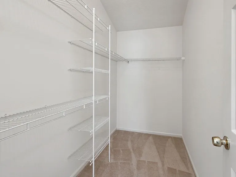 14113 Silent Wood Way — Photo 16