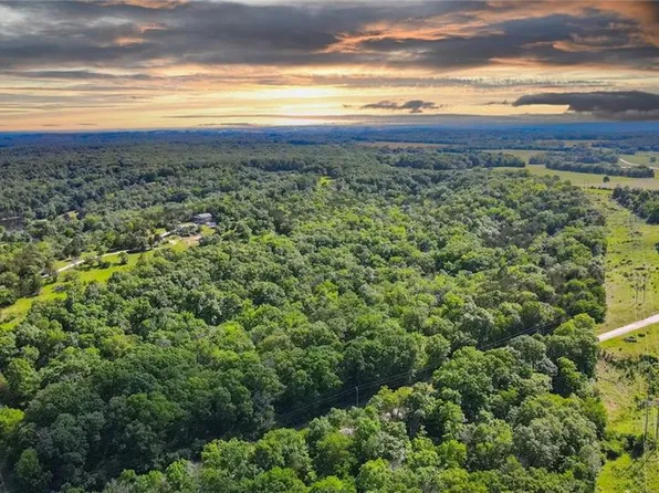 County Road 270, Flemington, MO 65650