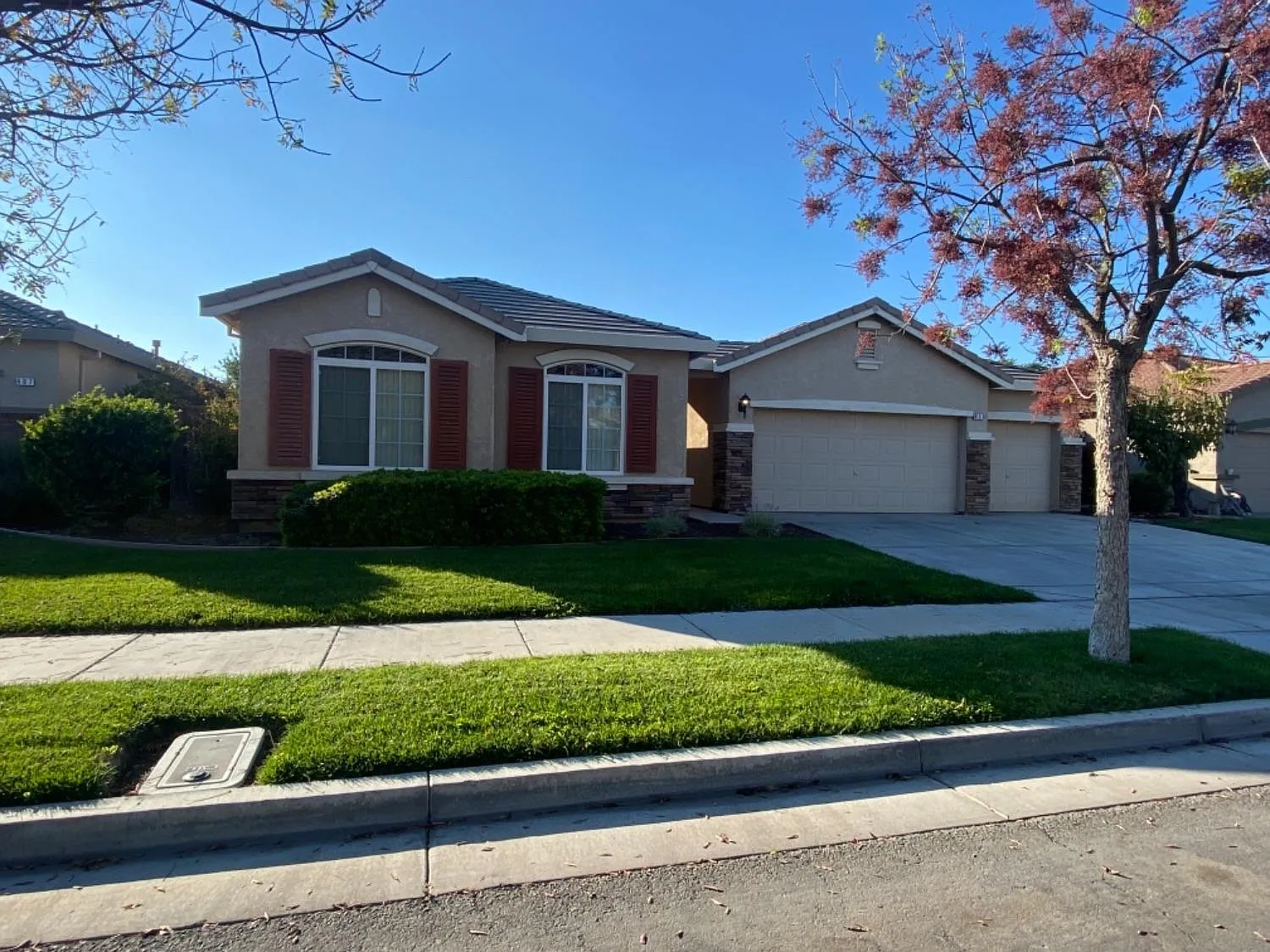 411 Pisa St photo 1
