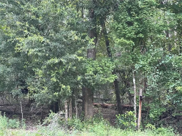 SW Reno Way Lot 35, Fort White, FL 32038