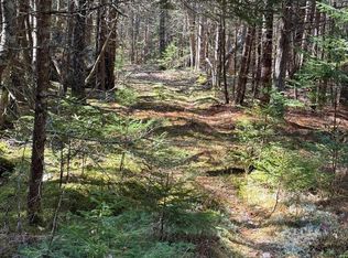 Lot 48A Route 1, Gouldsboro, ME 04607