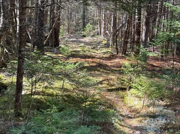 Lot 48A Route 1, Gouldsboro, ME 04607