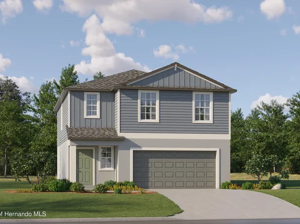 17572 Happytrails St, Land O Lakes, FL 34638