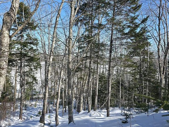 5th image of Mood Rd Lot 1