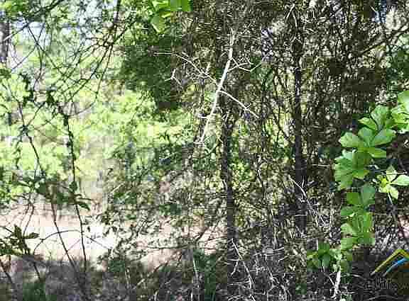 2nd image of 0 County Road 1214