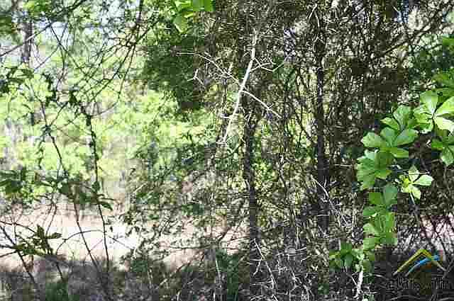 1st image of 0 County Road 1214