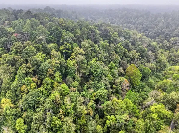 1310 Hunting Creek Rd, Whitleyville, TN 38588