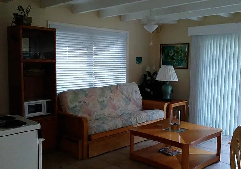 Palmetto Dr NE — Photo 12