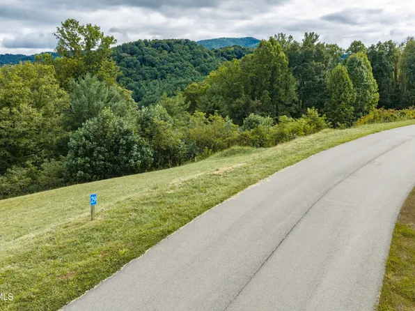 LOT 29 Cowan Town Rd Lot 29, Butler, TN 37640