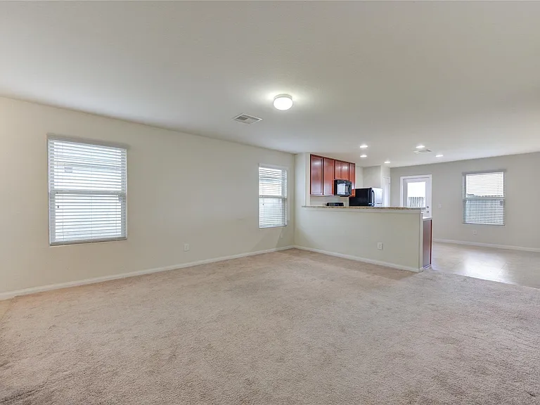 1315 Pease River Ln — Photo 6