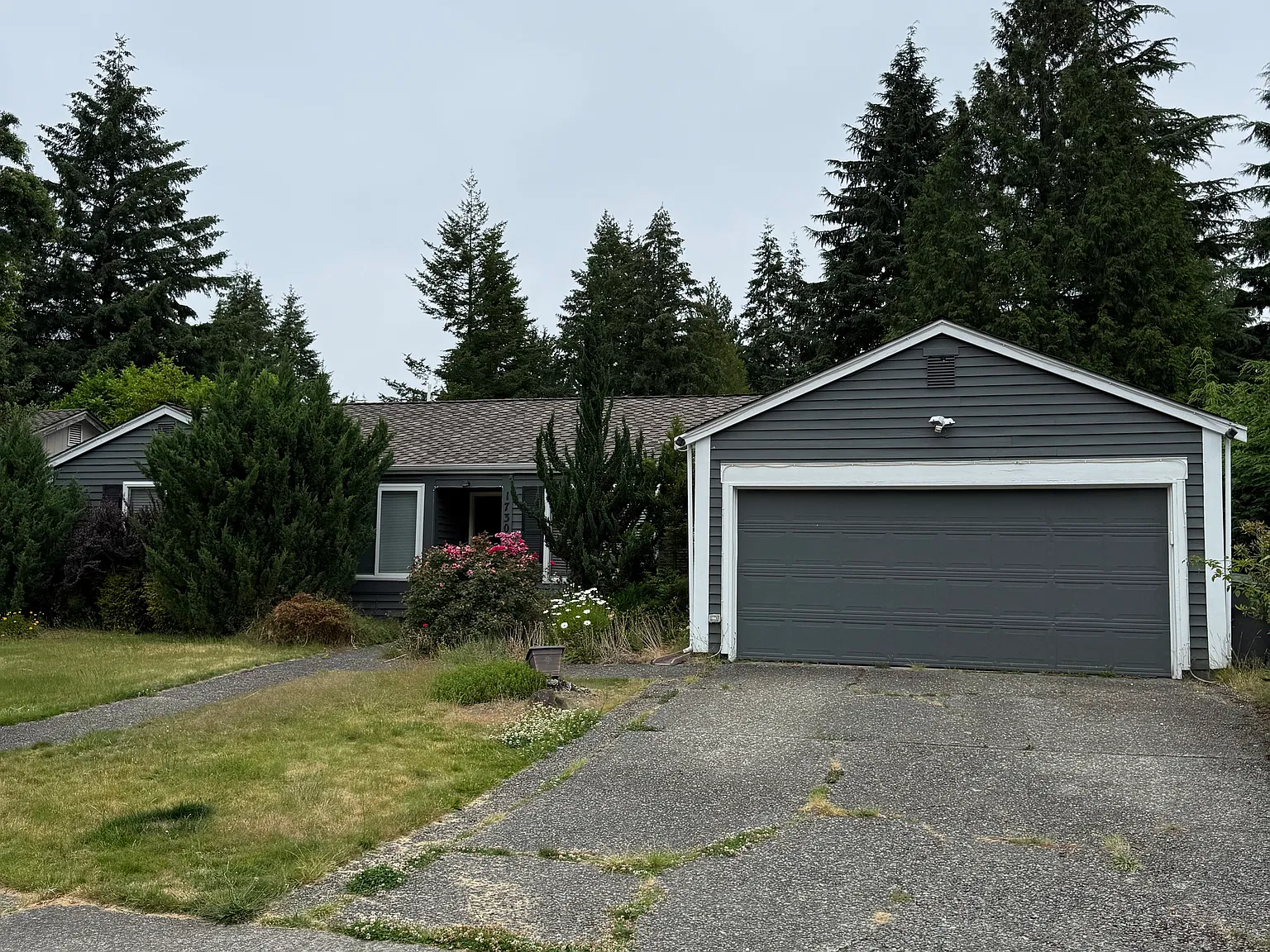 3 bed, 1510 sqft, $2,950 — Photo 1