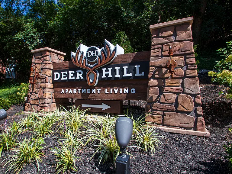 Deer Hill — Photo 68
