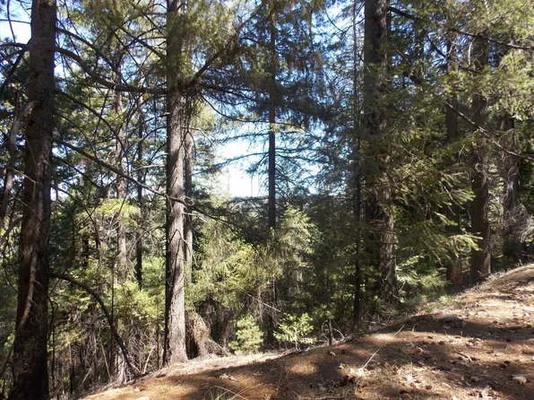 26311 Shake Ridge Rd, Volcano, CA 95689