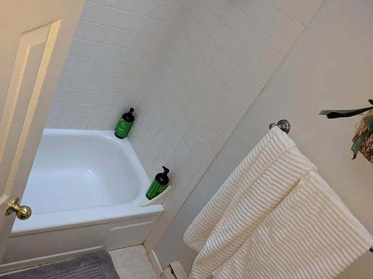 Bath1
