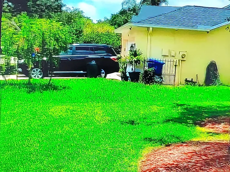 Front Yard