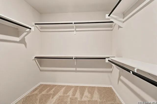 8106 Chestnut Blue Dr — Photo 23