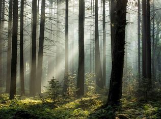 Juniper Ln, Augusta, WV 26704