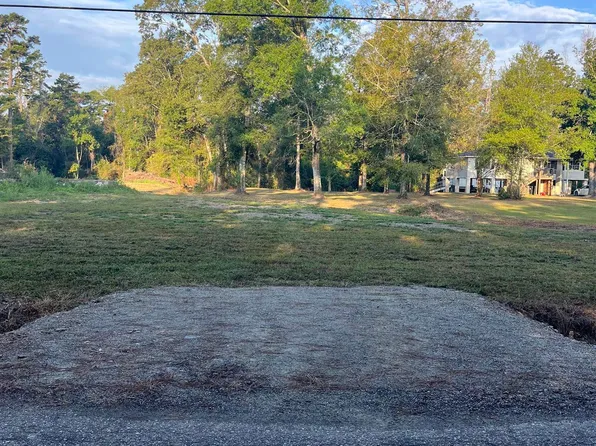 31287 Norred Rd, Holden, LA 70744