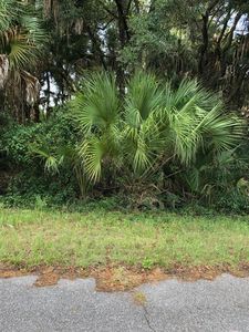 Lancer Ave, North port, FL, 34286